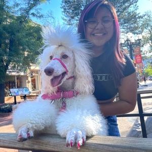 Meet your Posher, Amy